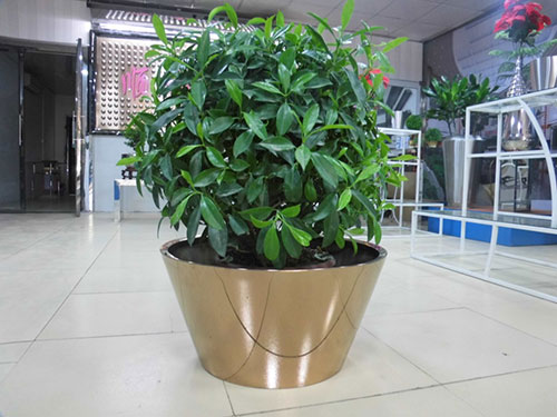 廣東汕頭不銹鋼花盆哪家做的好？